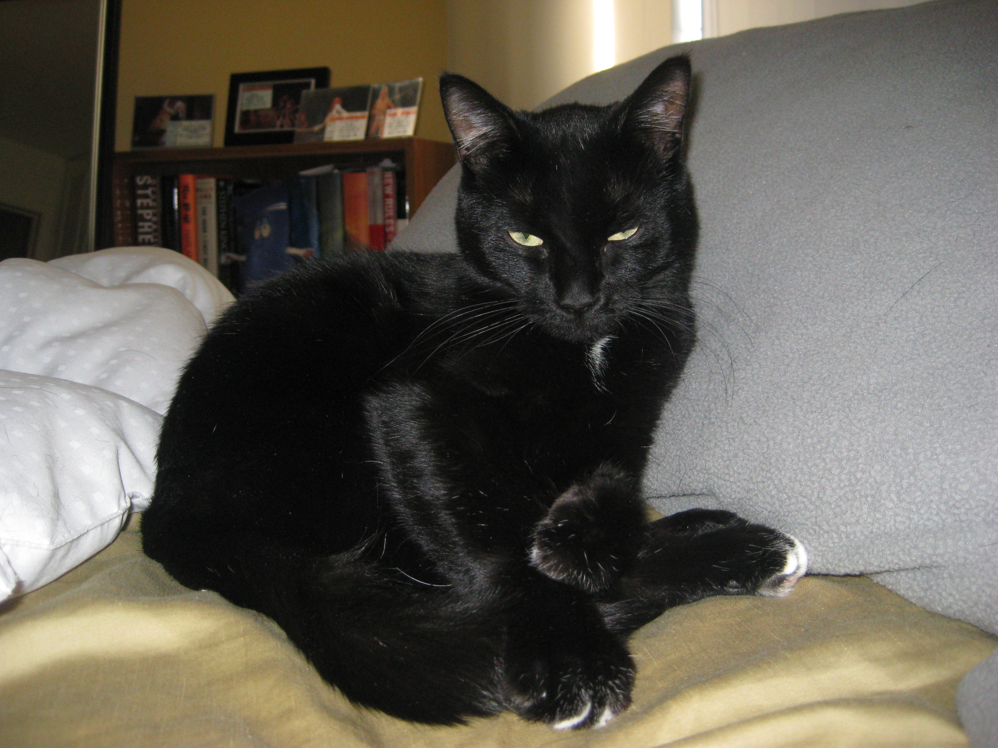 image02